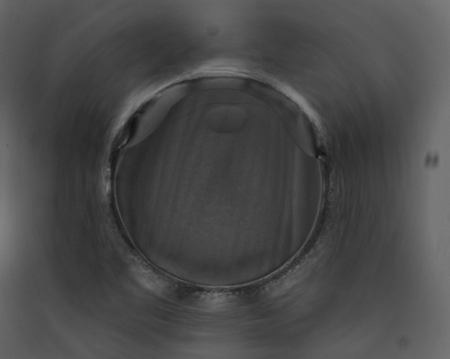 X0000089961461200707131527