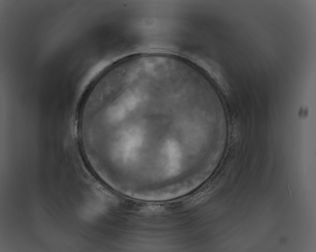 X0000089961462200707131527