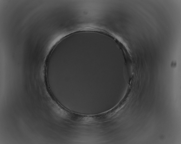 X0000089961463200707131527