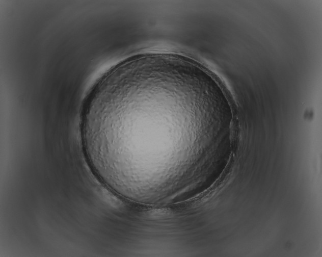 X0000089961464200707131527