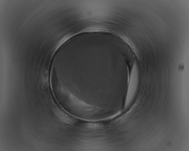 X0000089961465200707131527