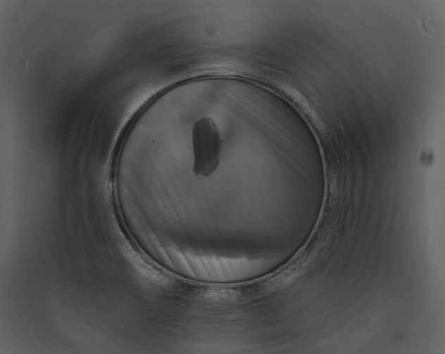 X0000089961466200707131527