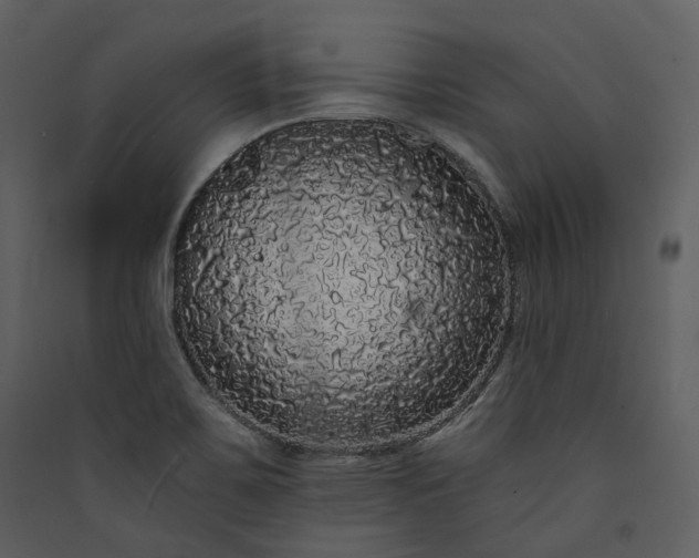 X0000089961467200707131527
