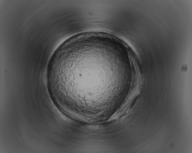 X0000089961468200707131527