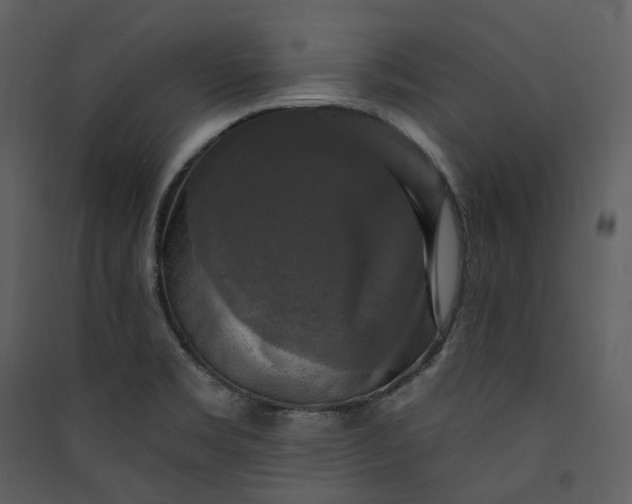 X0000089961469200707131527