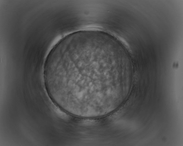 X0000089961470200707131527