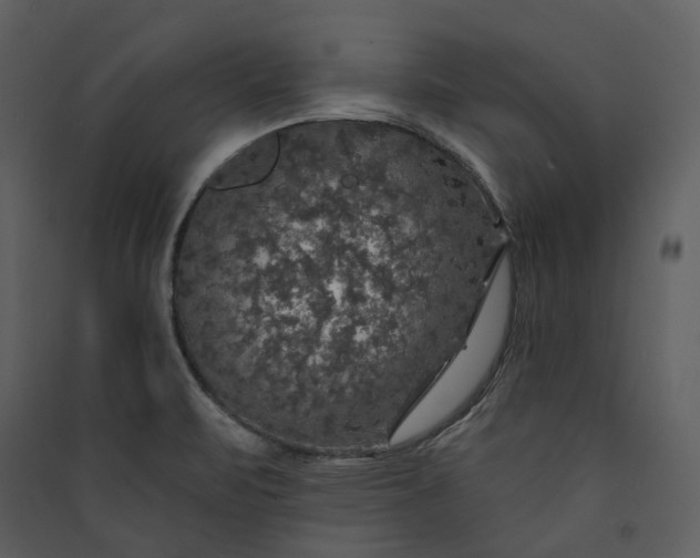 X0000089961471200707131527