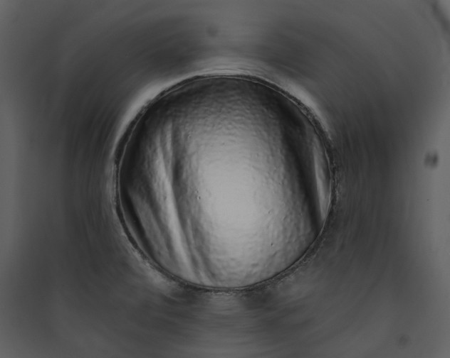 X0000089961472200707131527