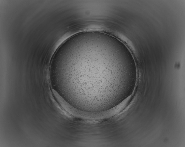 X0000089961473200707131527