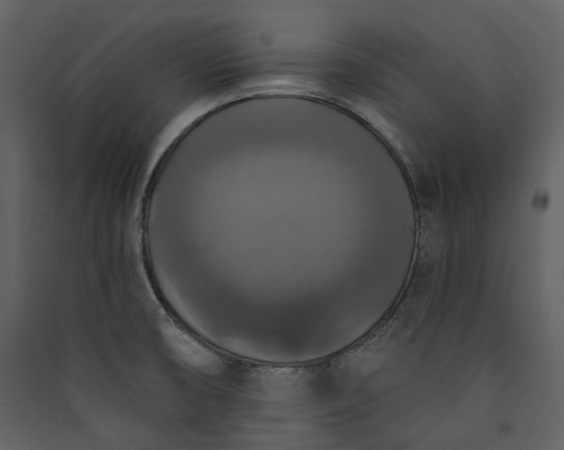 X0000089961474200707131527