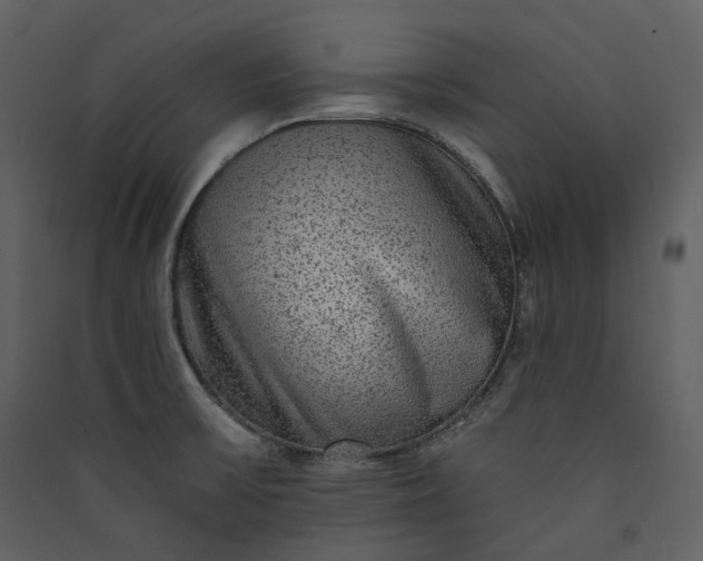 X0000089961475200707131527