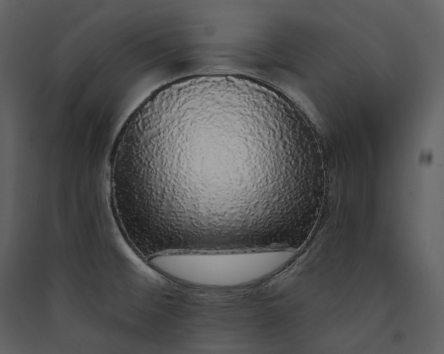 X0000089961476200707131527