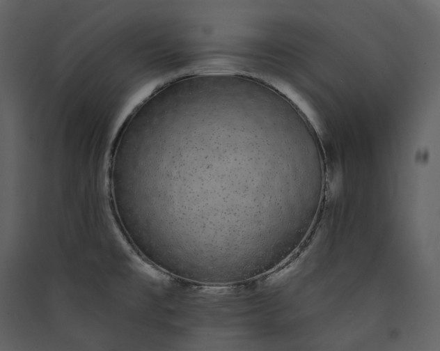 X0000089961477200707131527