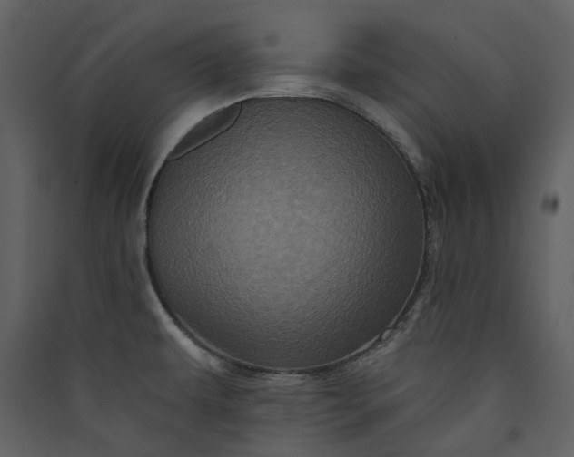 X0000089961479200707131527