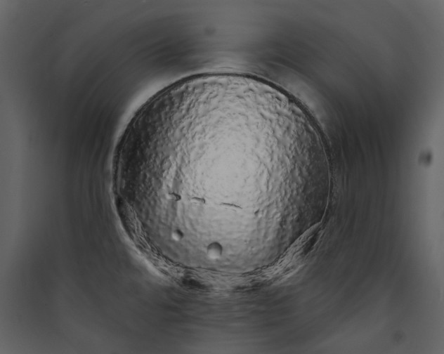 X0000089961480200707131527
