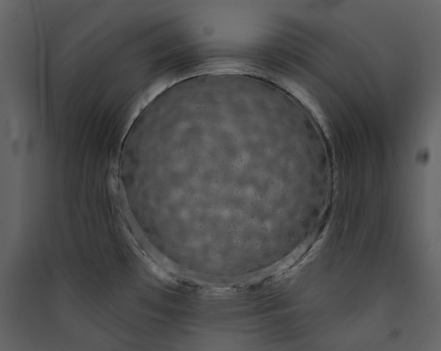 X0000089961481200707131527