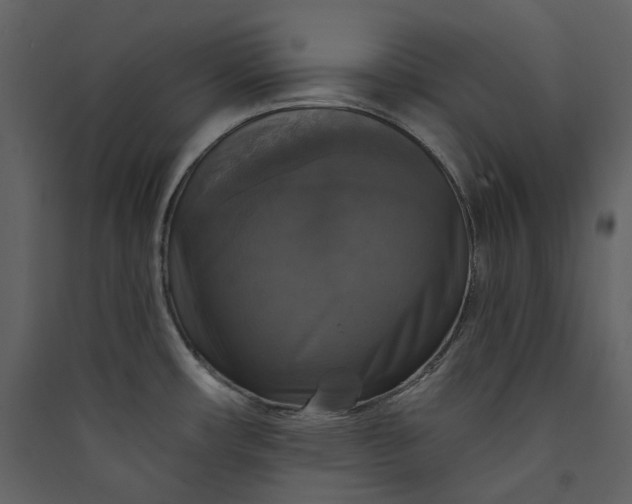 X0000089961482200707131527