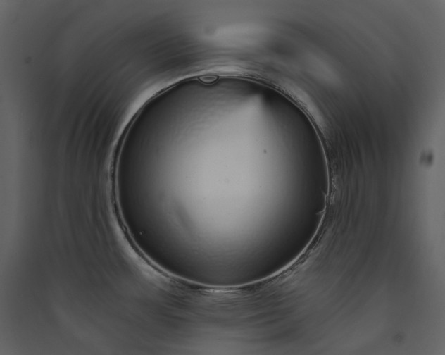 X0000089961483200707131527