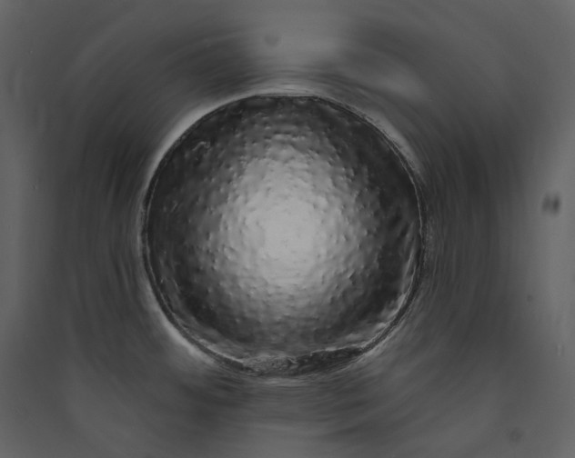 X0000089961484200707131527