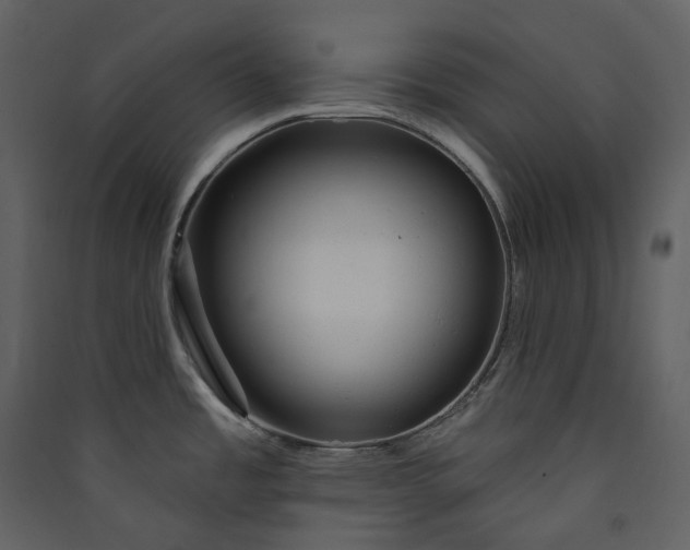 X0000089961485200707131527