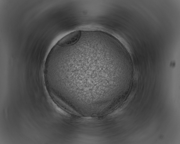 X0000089961486200707131527
