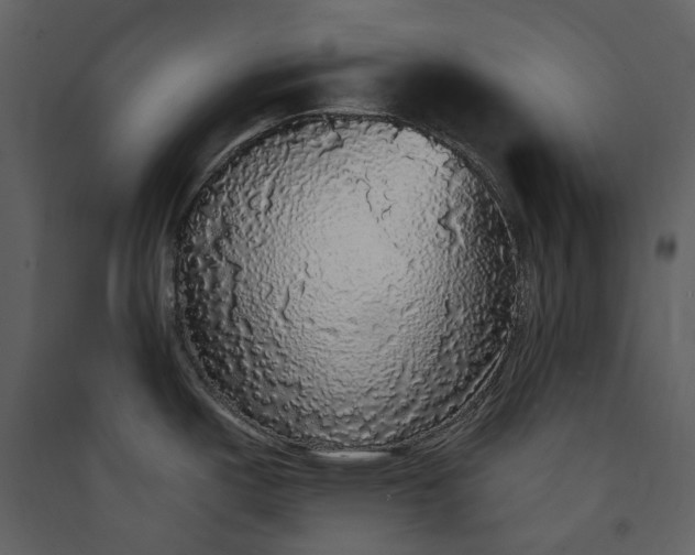 X0000089961487200707131527
