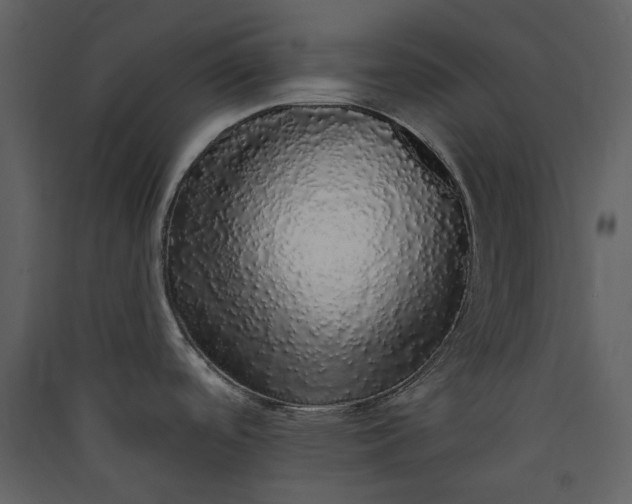 X0000089961488200707131527