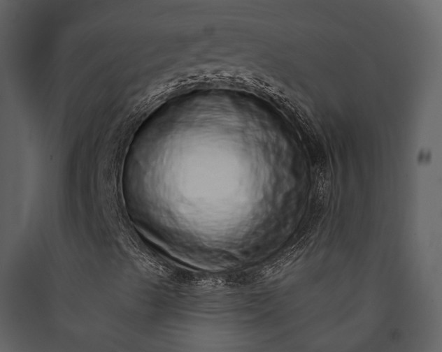 X0000089961489200707131526