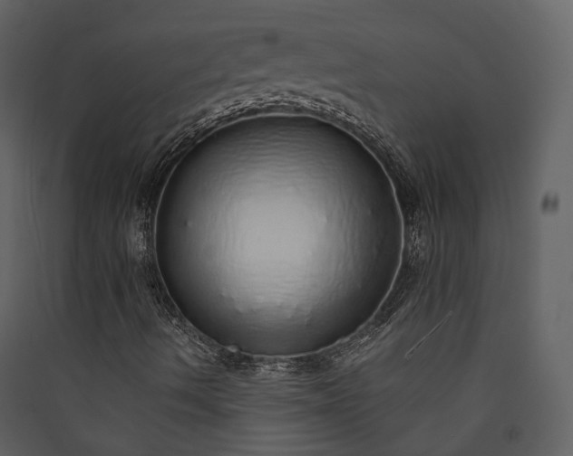 X0000089961490200707131526