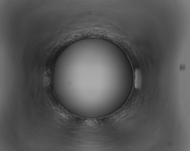 X0000089961491200707131526