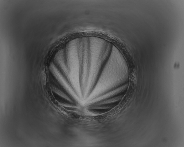 X0000089961493200707131526