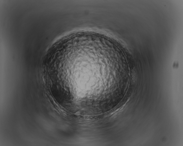 X0000089961494200707131526