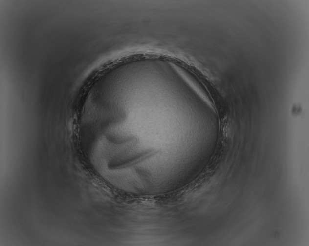 X0000089961495200707131526