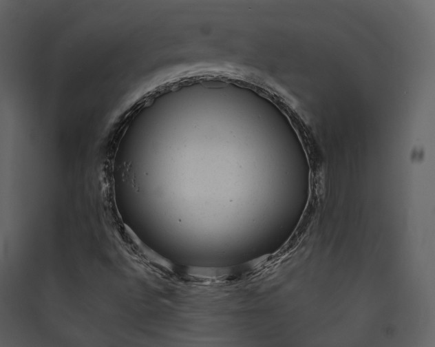 X0000089961496200707131526