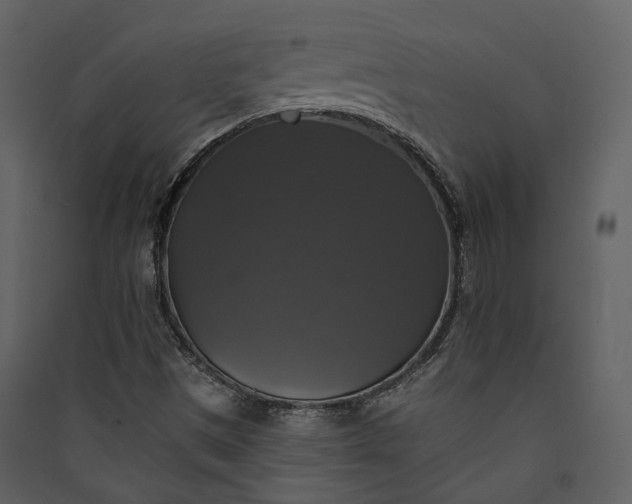 X0000089961497200707131526
