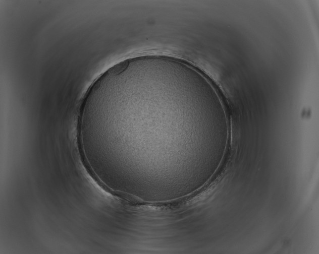 X0000089961500200707131526