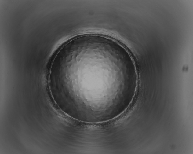 X0000089961501200707131526