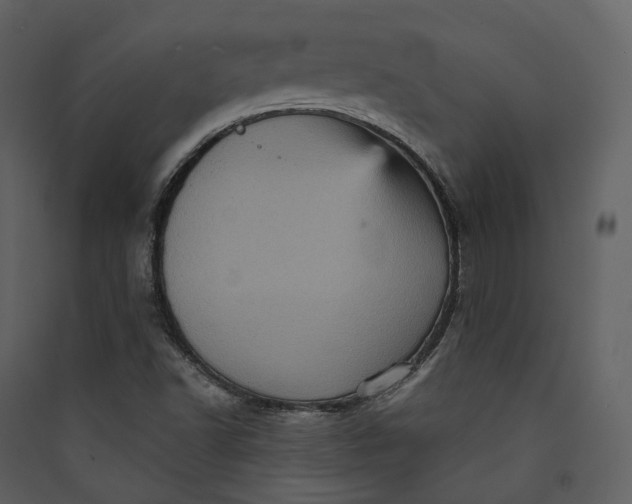 X0000089961502200707131526