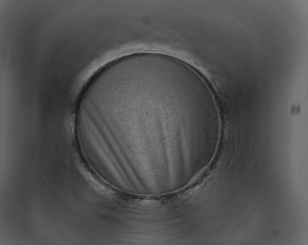 X0000089961503200707131526