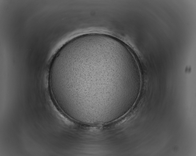 X0000089961504200707131526