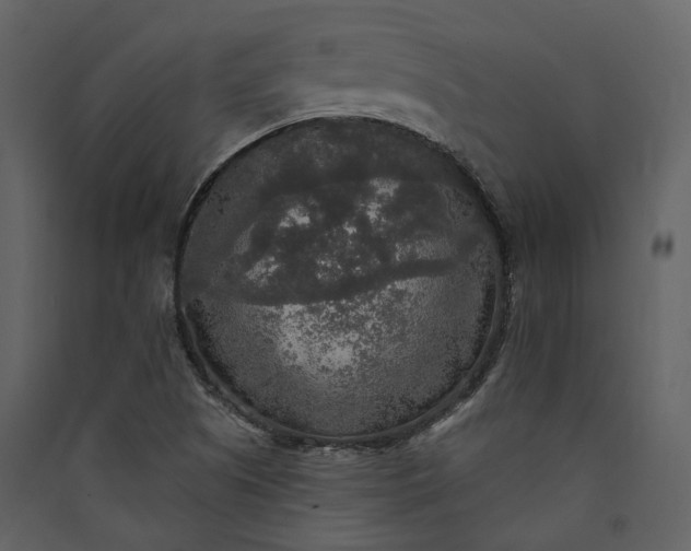 X0000089961505200707131526
