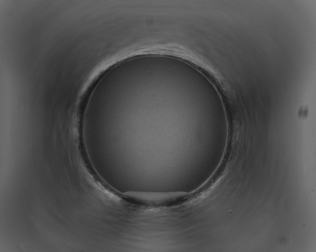 X0000089961506200707131526