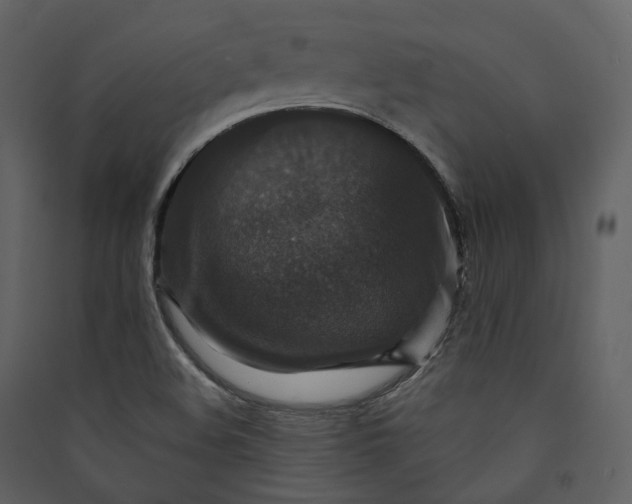 X0000089961508200707131526