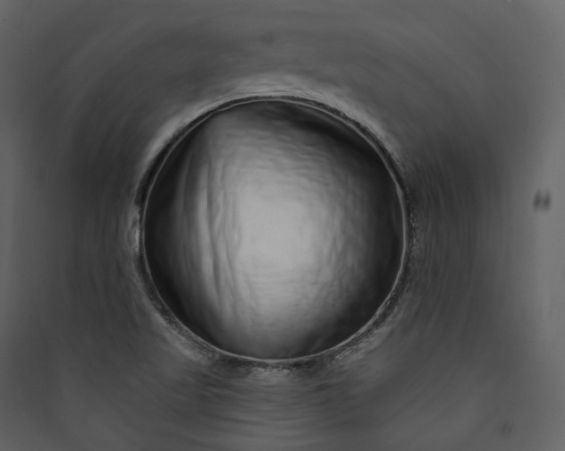 X0000089961509200707131526
