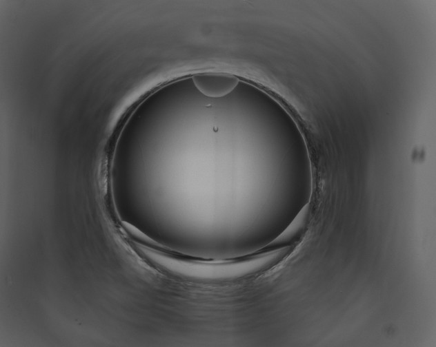 X0000089961510200707131526