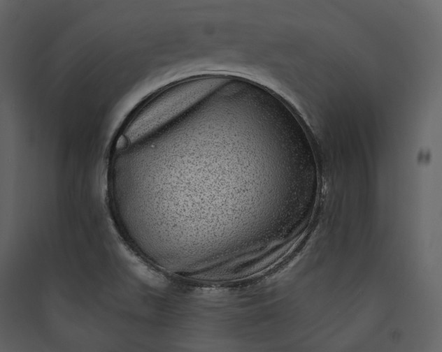 X0000089961511200707131526