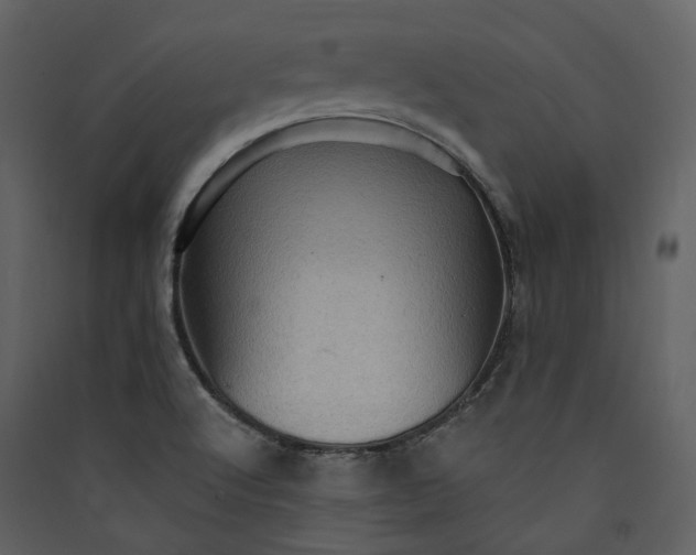 X0000089961512200707131526