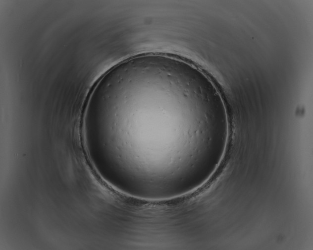 X0000089961513200707131526