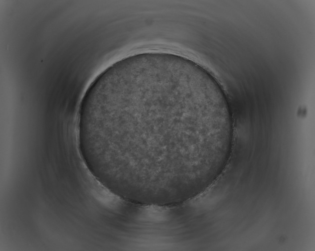 X0000089961514200707131526