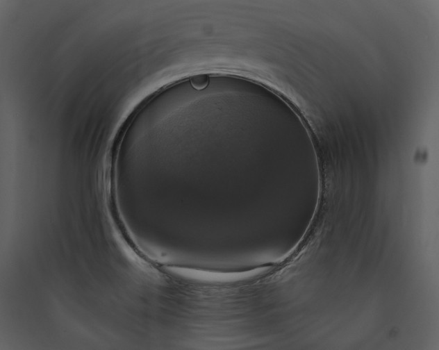 X0000089961515200707131526